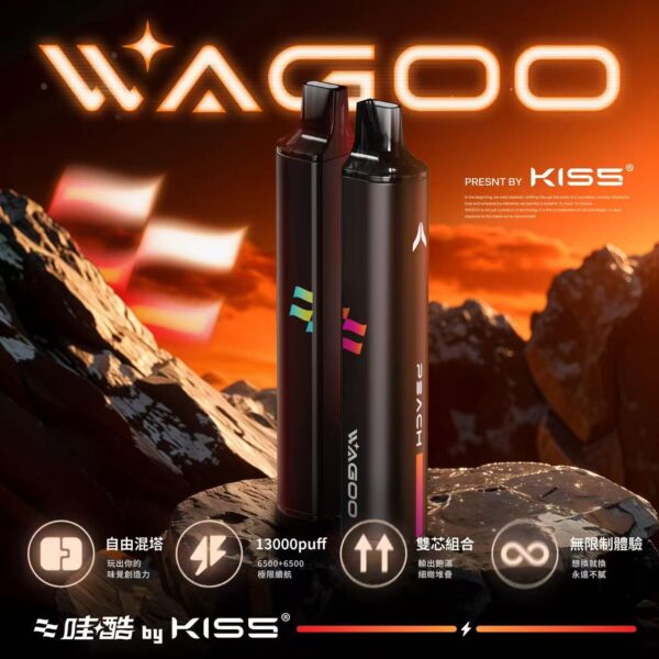 【6500口】WAGOO哇酷6500口磁吸拋棄式｜買10送一隻